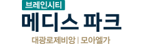 브레인시티 메디스파크